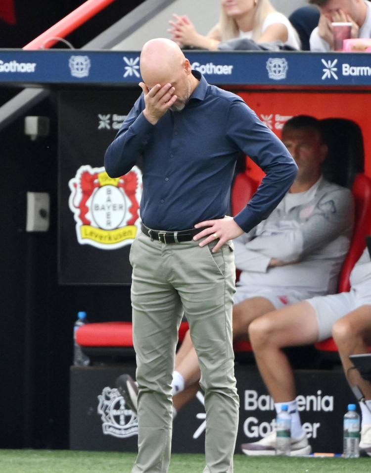 适应新环境 适应新环境